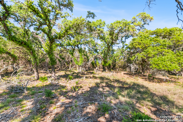 Lot 18 Hawk Eye Ln Property Photo 22