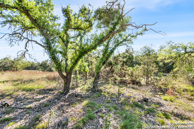 Lot 18 Hawk Eye Ln Property Photo 23