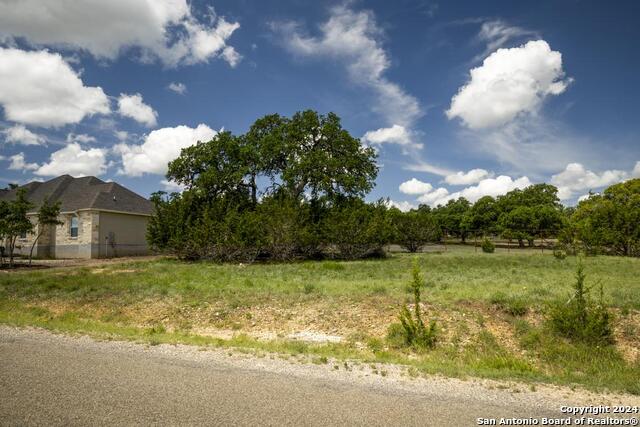 126 Frank Jones Property Photo 4