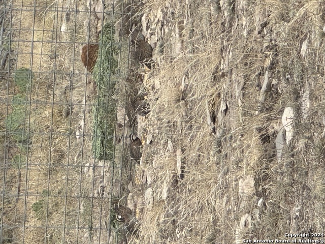 00 High Lonesome Rd Property Photo 6