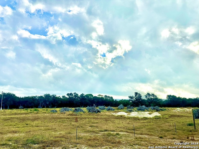 2331 Potters Creek Property Photo 17