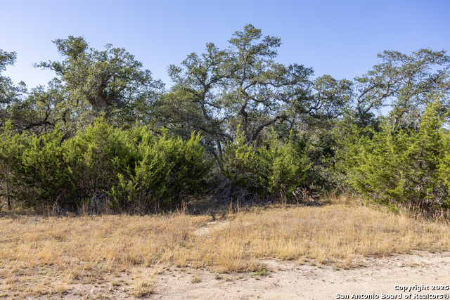 Block 2, Lot 4 Fortunate Son Property Photo 3