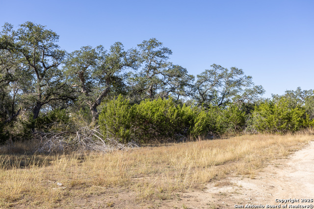 Block 2, Lot 4 Fortunate Son Property Photo 6