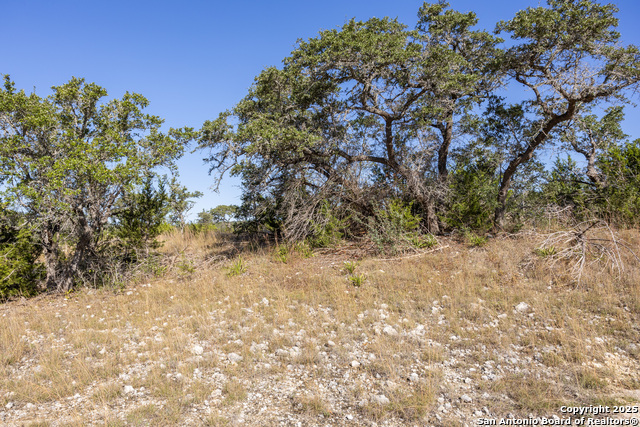 Block 2, Lot 4 Fortunate Son Property Photo 7