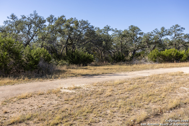 Block 2, Lot 4 Fortunate Son Property Photo 9