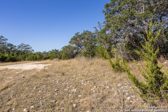 Block 2, Lot 4 Fortunate Son Property Photo 10