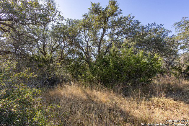 Block 2, Lot 4 Fortunate Son Property Photo 11