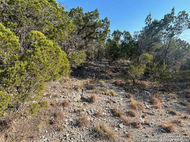 915 Overland Stage Rd Property Photo 6