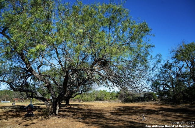 13245 Laguna Rd Property Photo 7
