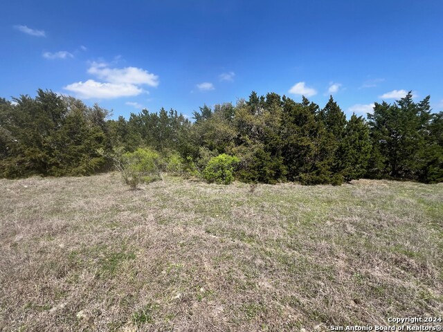 367 Starling Pass Property Photo 2