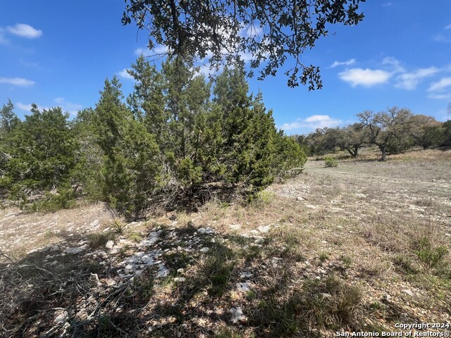 288 River Cliff Pl Property Photo 4