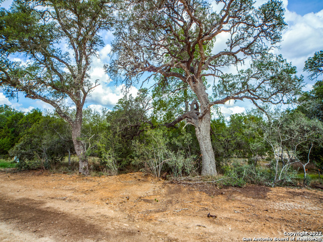 708 Sharp Springs Property Photo 2
