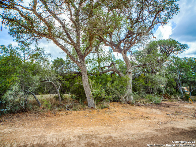 708 Sharp Springs Property Photo 3