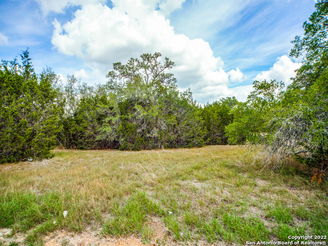 708 Sharp Springs Property Photo 4
