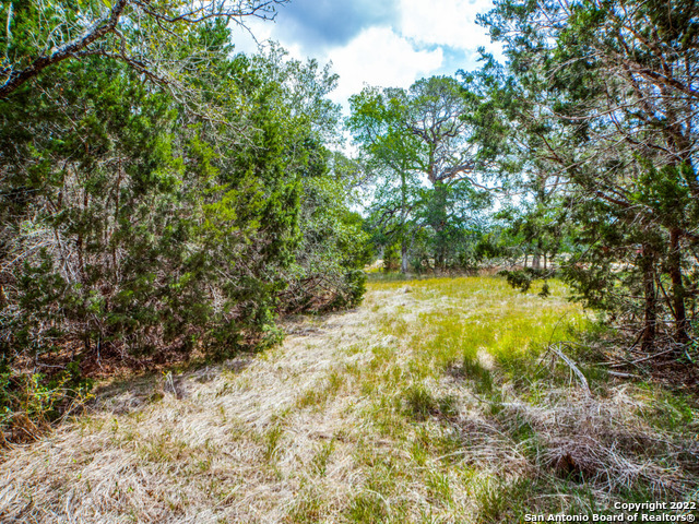 708 Sharp Springs Property Photo 6