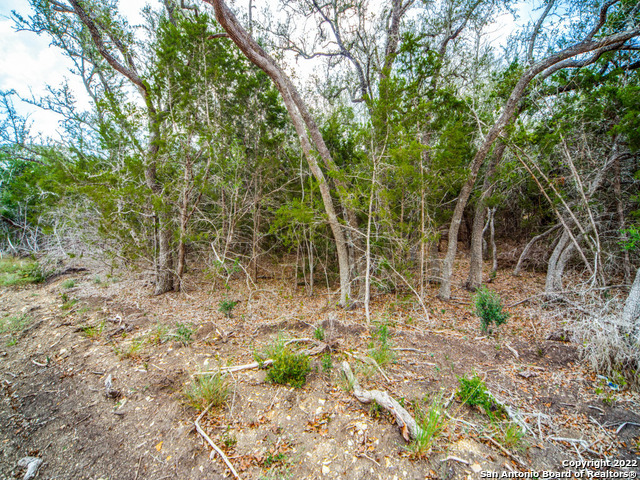 708 Sharp Springs Property Photo 7