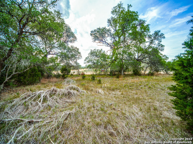 708 Sharp Springs Property Photo 9