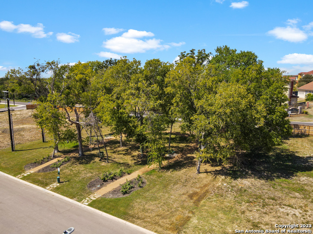 9427 Graze Land Drive Property Photo 21