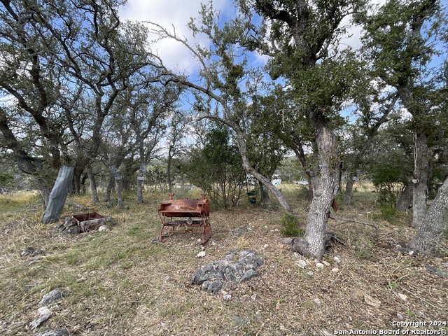 890 County Road 246 Property Photo 12