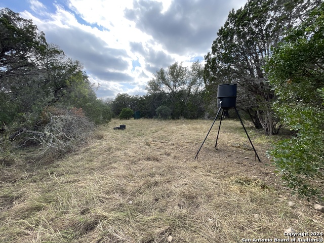 890 County Road 246 Property Photo 13