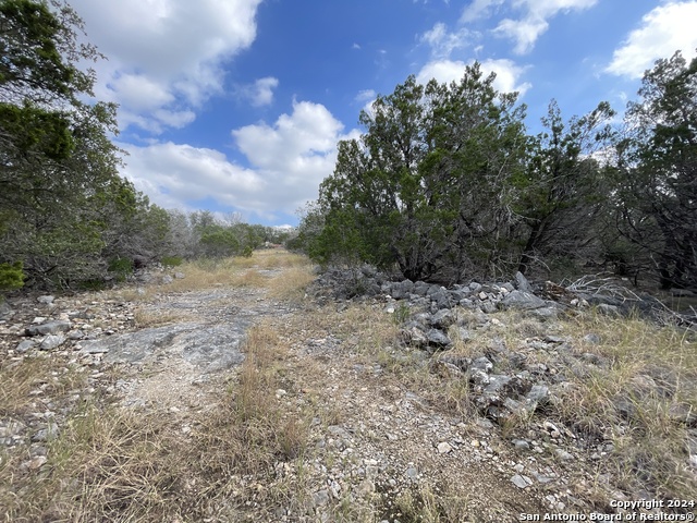 890 County Road 246 Property Photo 16