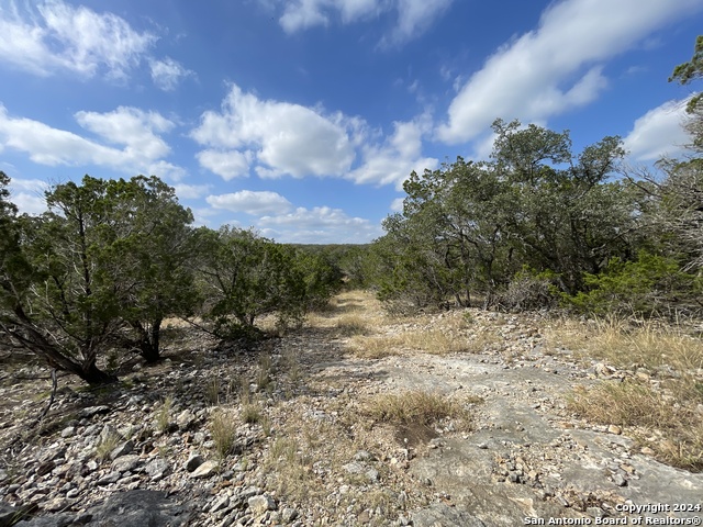 890 County Road 246 Property Photo 18