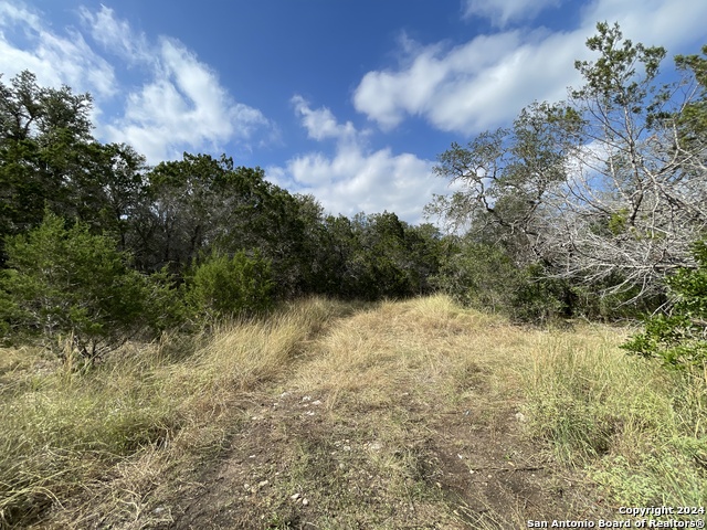 890 County Road 246 Property Photo 19