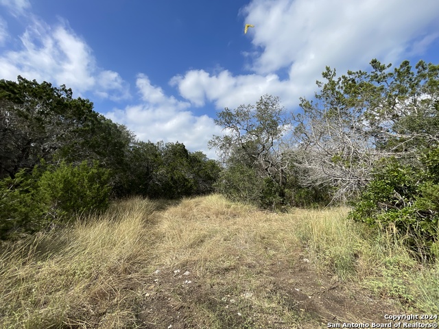 890 County Road 246 Property Photo 20