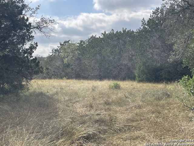 890 County Road 246 Property Photo 21
