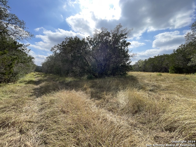 890 County Road 246 Property Photo 22