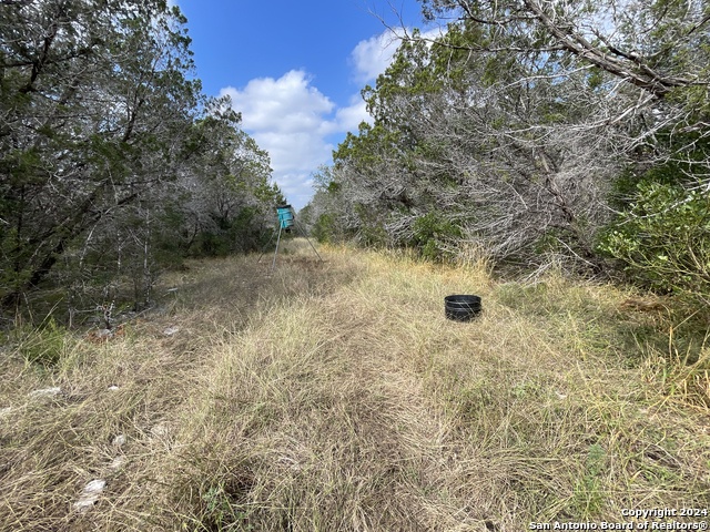 890 County Road 246 Property Photo 24