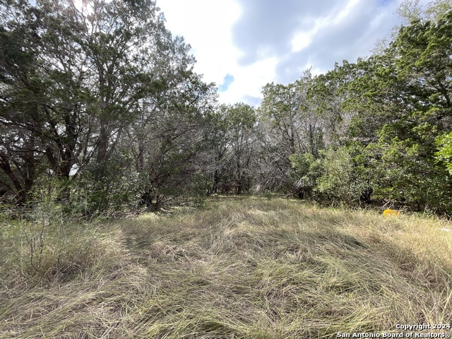 890 County Road 246 Property Photo 25
