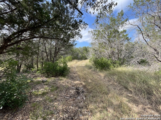 890 County Road 246 Property Photo 26