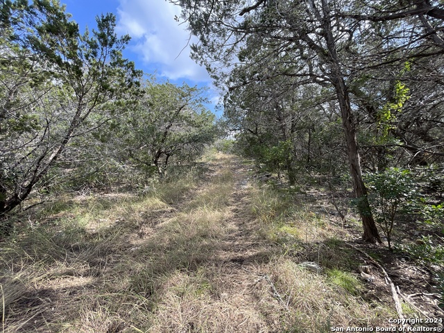 890 County Road 246 Property Photo 27