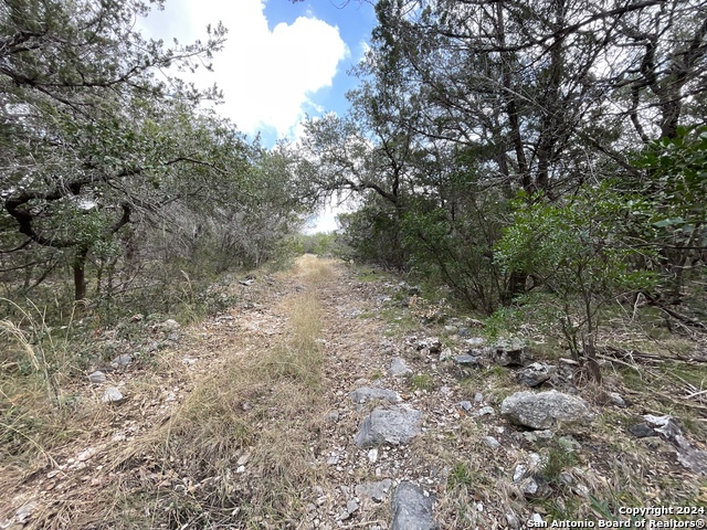 890 County Road 246 Property Photo 28