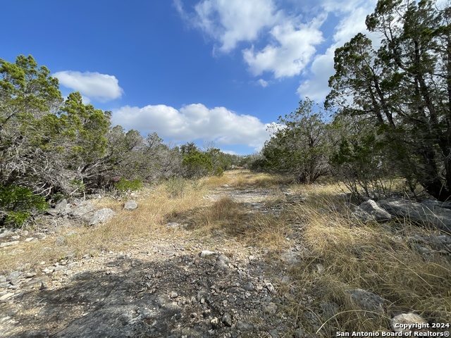 890 County Road 246 Property Photo 29