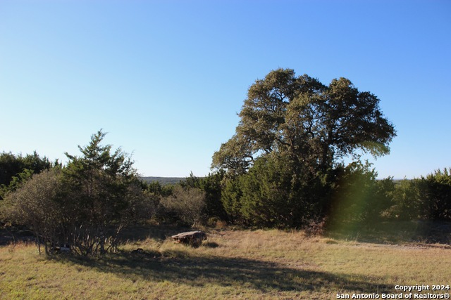 463 Lantana Mesa Property Photo 2