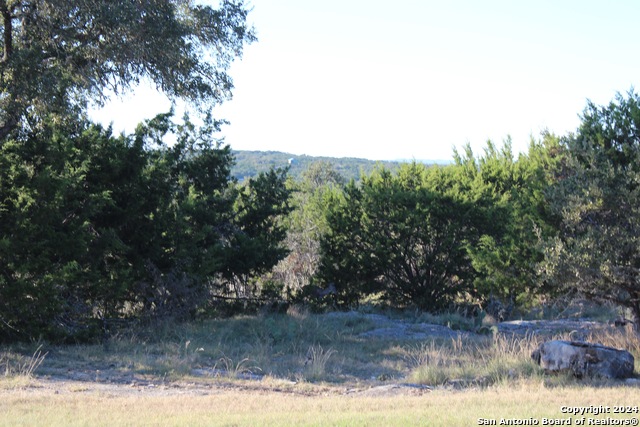 463 Lantana Mesa Property Photo 4