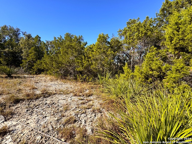 636 Angelica Vis Property Photo 10