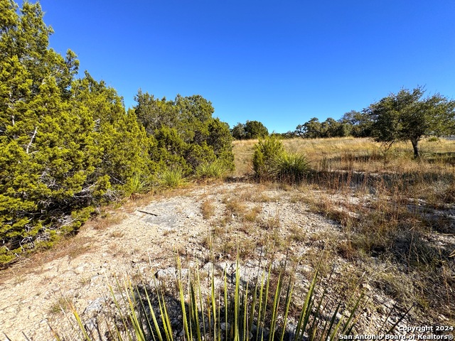 636 Angelica Vis Property Photo 11