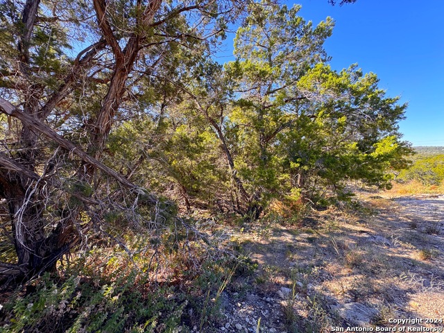 636 Angelica Vis Property Photo 13