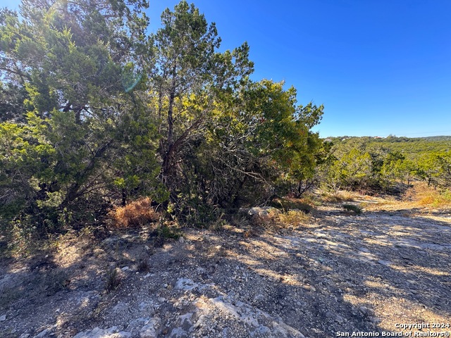 636 Angelica Vis Property Photo 14