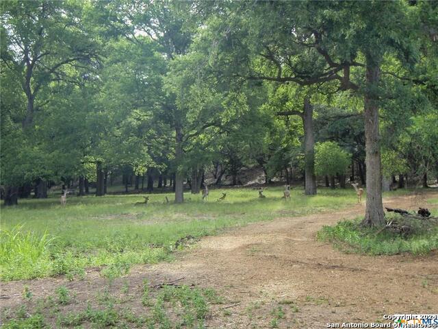 636 Angelica Vis Property Photo 21