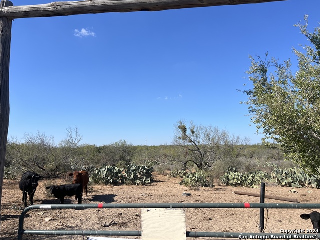 0 Saenz Rd Property Photo 2