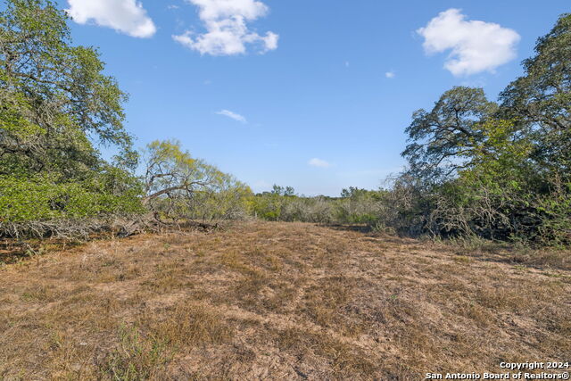 246 Shamrock Dr Property Photo 12