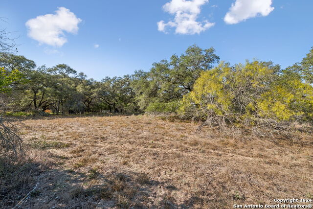 246 Shamrock Dr Property Photo 14
