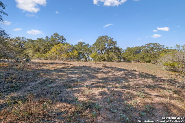 246 Shamrock Dr Property Photo 15
