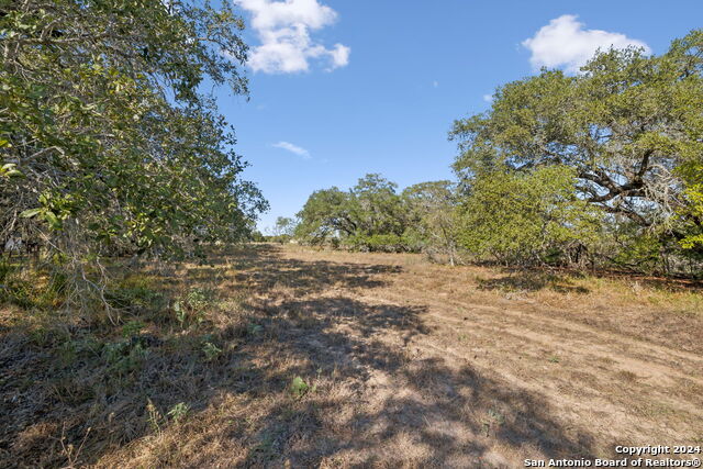 246 Shamrock Dr Property Photo 18