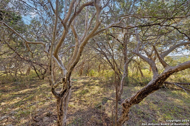 1831 W Lakeside Dr Property Photo 33