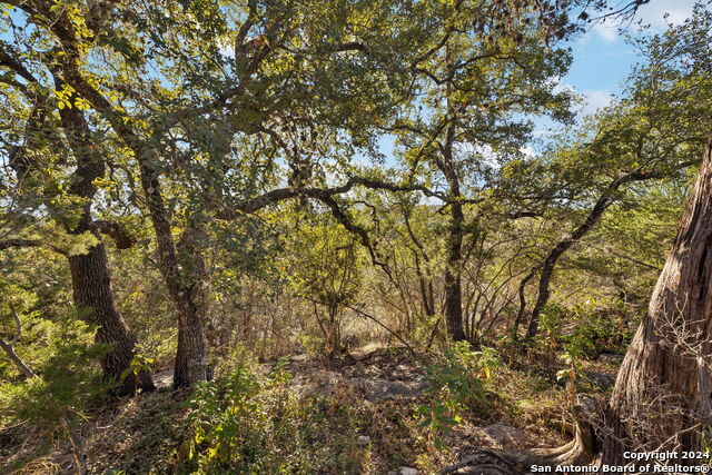 1831 W Lakeside Dr Property Photo 36